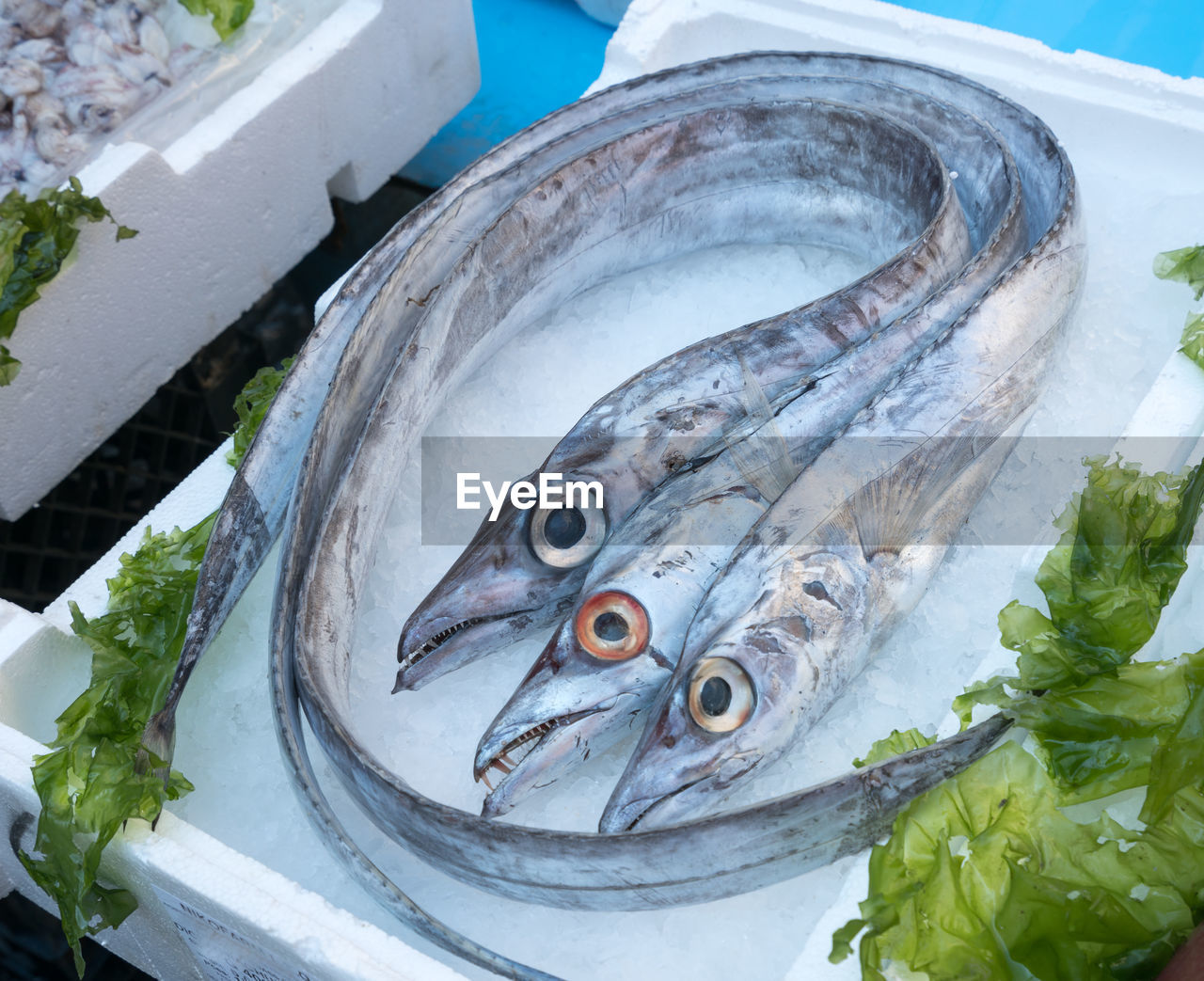 High angle view of fish on ice in crate at market stall