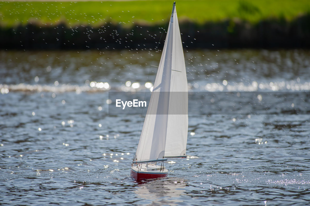 Remote controlled ship model is remote controlled on a lake