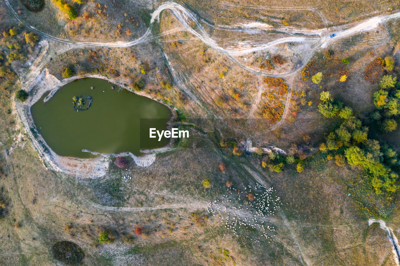 HIGH ANGLE VIEW OF PLANT IN LAKE