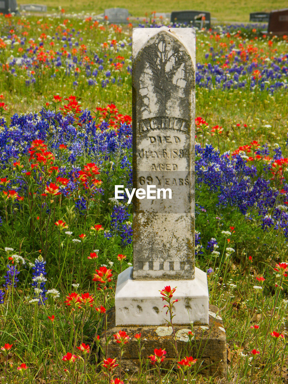 CLOSE-UP OF MULTI COLORED TEXT ON STONE