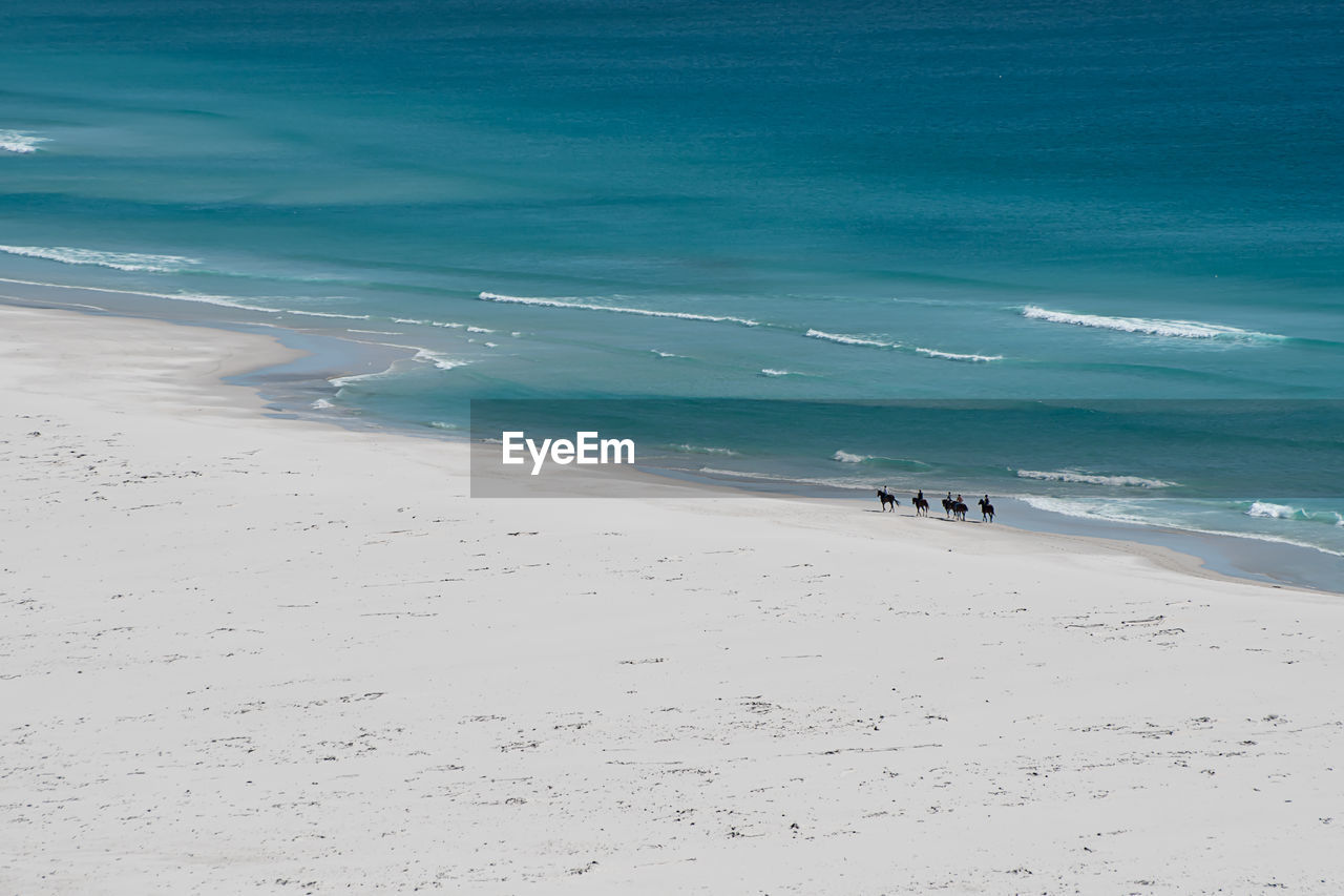 Scenic view of people riding horses at beach against sky