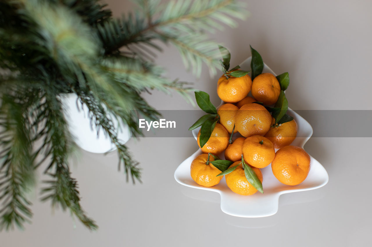 HIGH ANGLE VIEW OF FRUITS IN PLATE