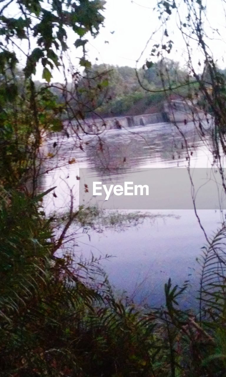 SCENIC VIEW OF LAKE