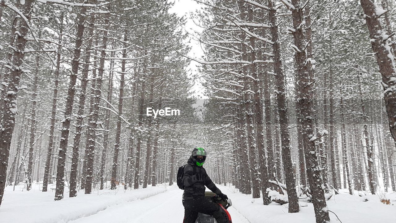 Person snowmobiling through the snowy forest in winter