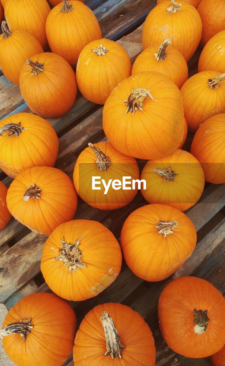 High angle view of pumpkins for sale at market stall