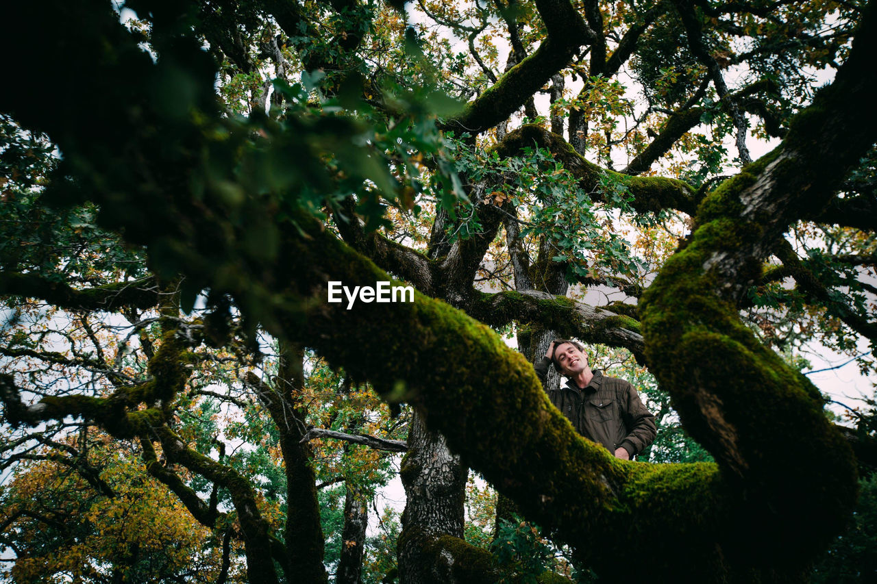 LOW ANGLE VIEW OF MAN SITTING BY TREE TRUNK