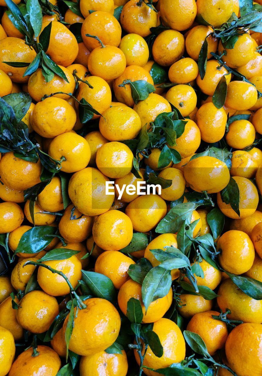 High angle view of  tangerine fruits for sale at market stall