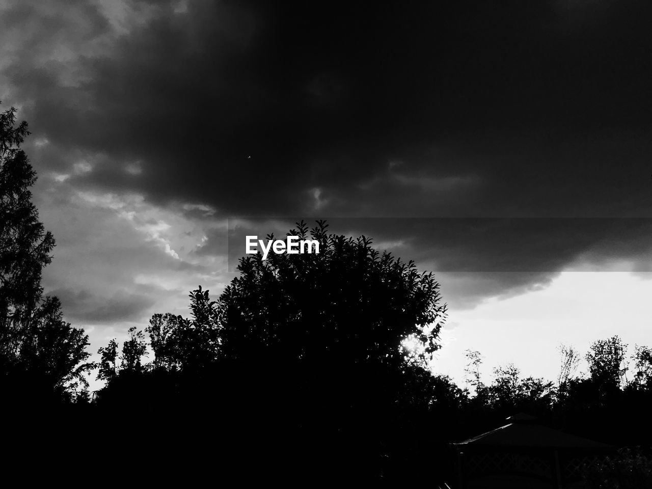 SILHOUETTE OF TREES AGAINST CLOUDY SKY