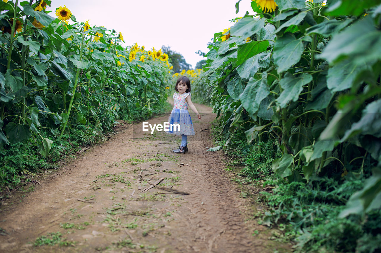 Full length of girl standing amidst plant