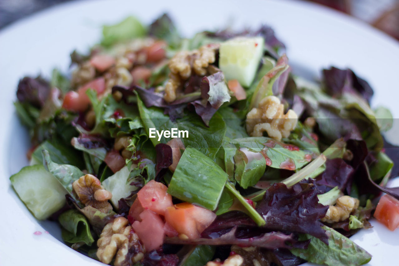 Close-up of salad in plate