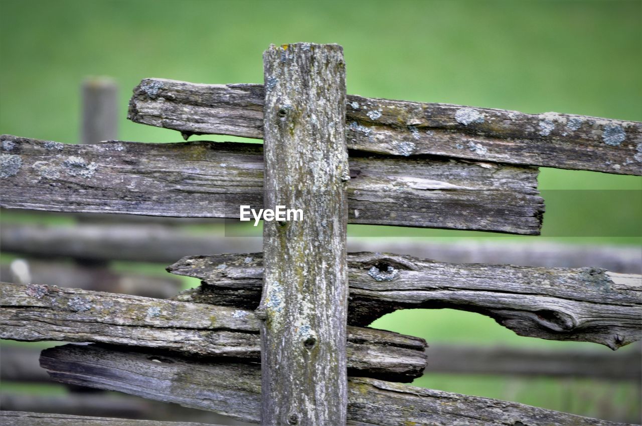 CLOSE-UP OF DAMAGED WOOD AGAINST BLURRED BACKGROUND