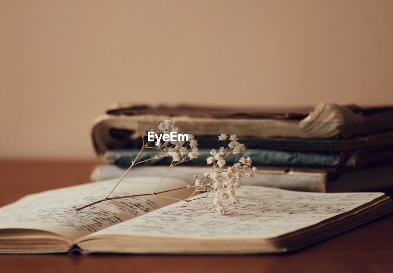 Close-up of book on table