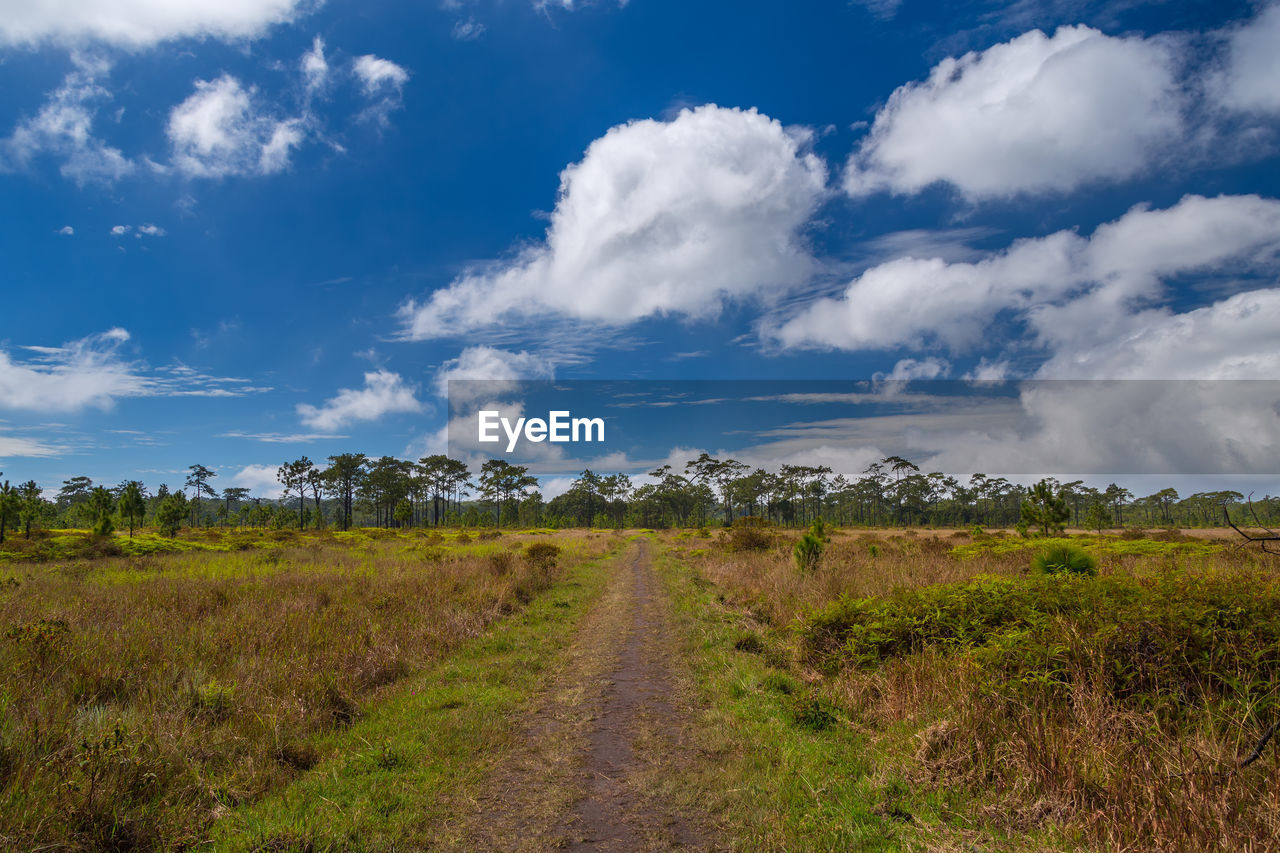 PANORAMIC SHOT OF DIRT ROAD ALONG COUNTRYSIDE LANDSCAPE