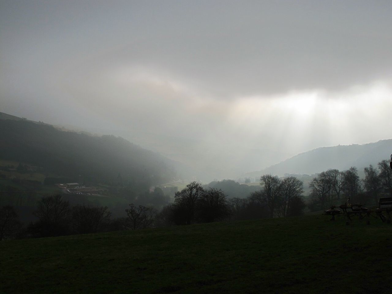 SCENIC VIEW OF TREES ON LANDSCAPE AGAINST SKY