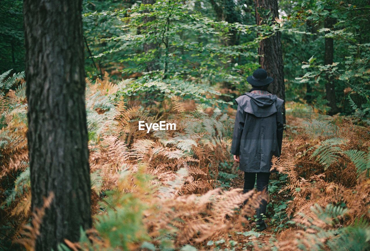 Man standing by trees in forest