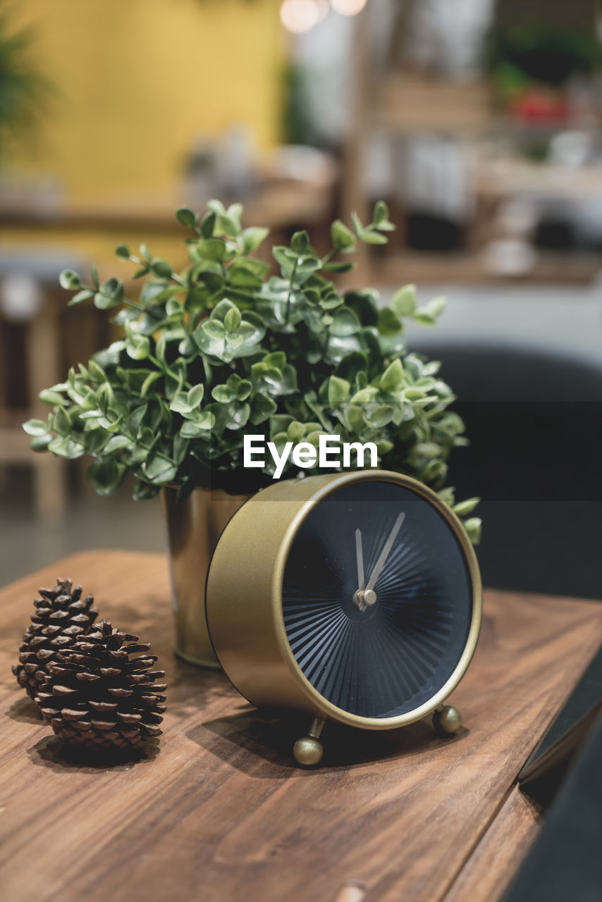 Close-up of clock with potted plant and pine cone on table