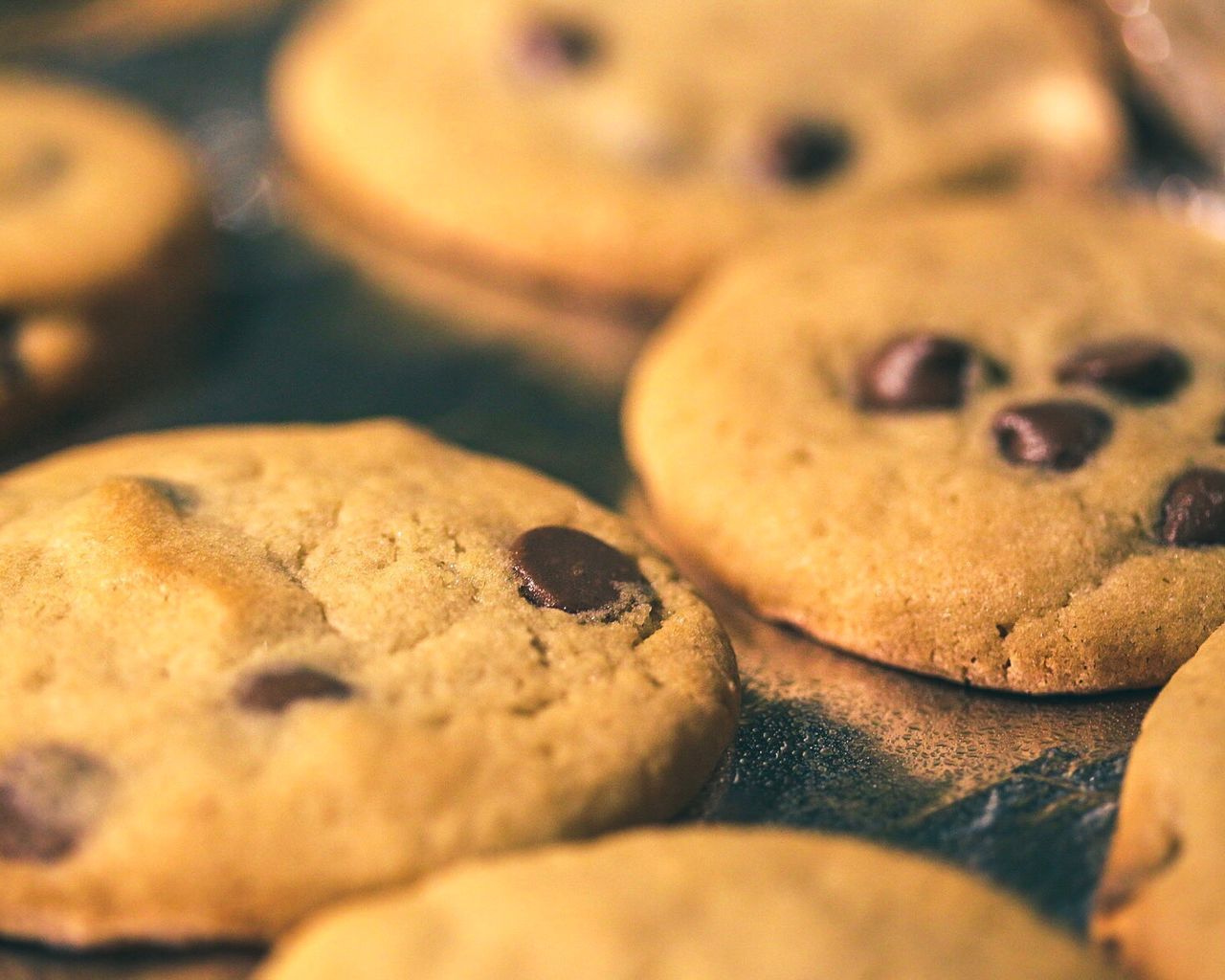 Close-up of cookies