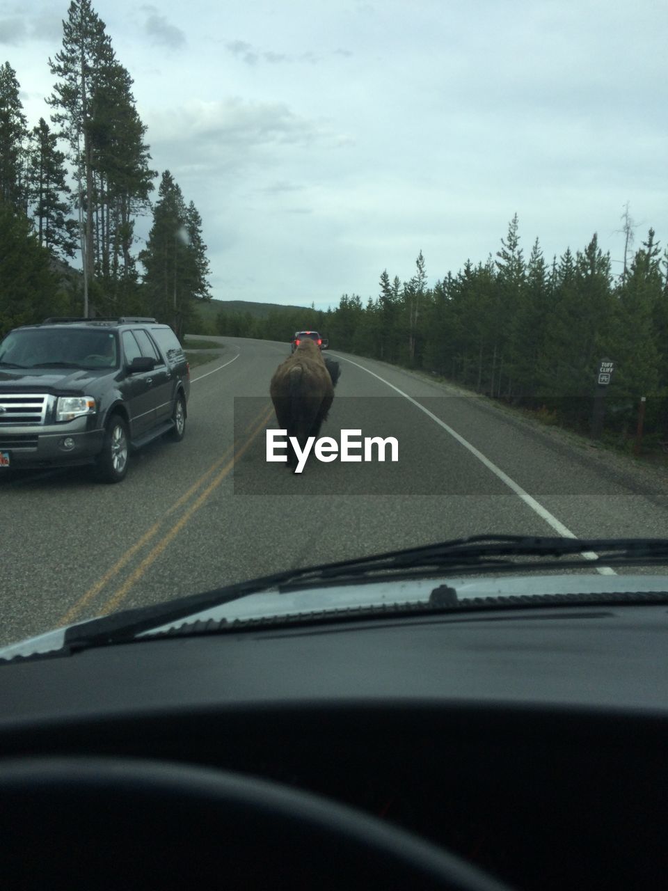 TRAFFIC ON ROAD