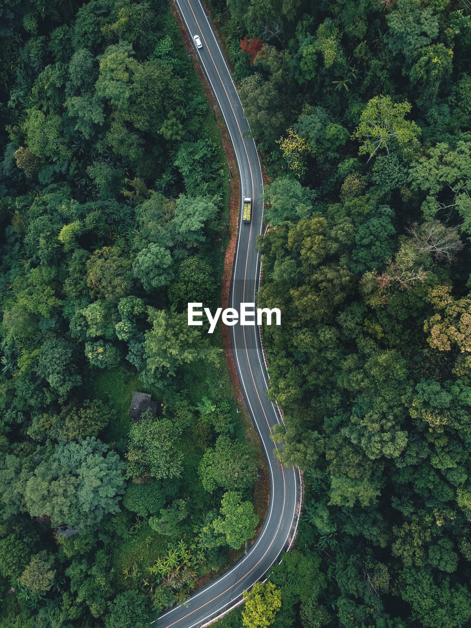 High angle view of road amidst trees in forest