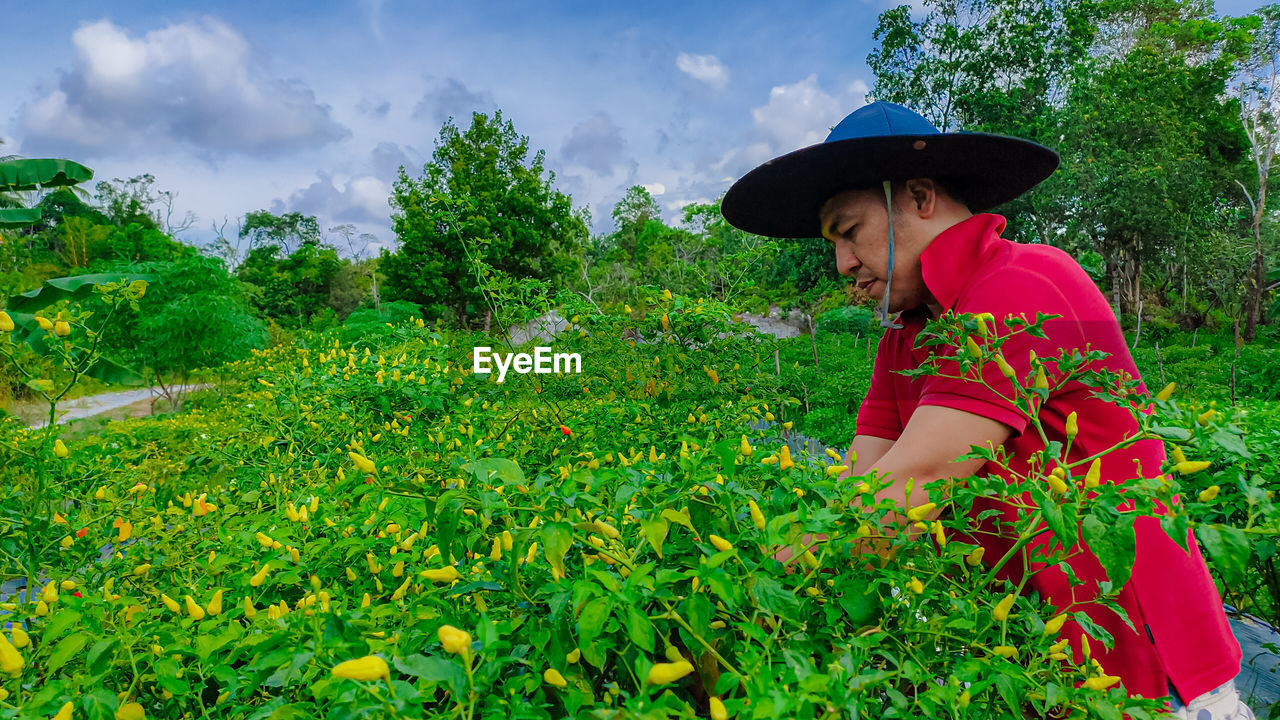 plant, field, agriculture, one person, meadow, hat, flower, nature, rural area, adult, growth, clothing, rural scene, landscape, women, land, fashion accessory, farm, green, sun hat, sky, day, crop, lifestyles, grass, female, plantation, tree, farmer, outdoors, occupation, working, food, food and drink, cloud, side view, three quarter length, beauty in nature, flowering plant, lawn, freshness, harvesting, casual clothing, shrub, environment, looking, person