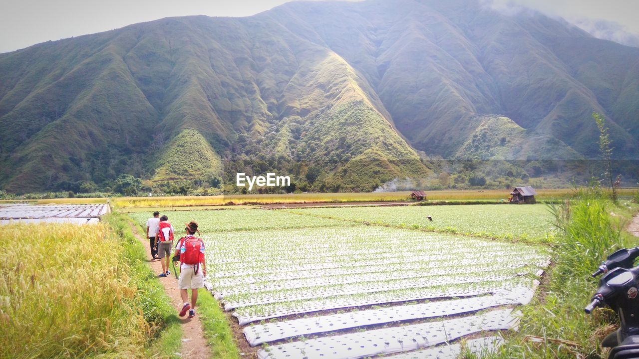 PEOPLE WORKING IN FARM FIELD