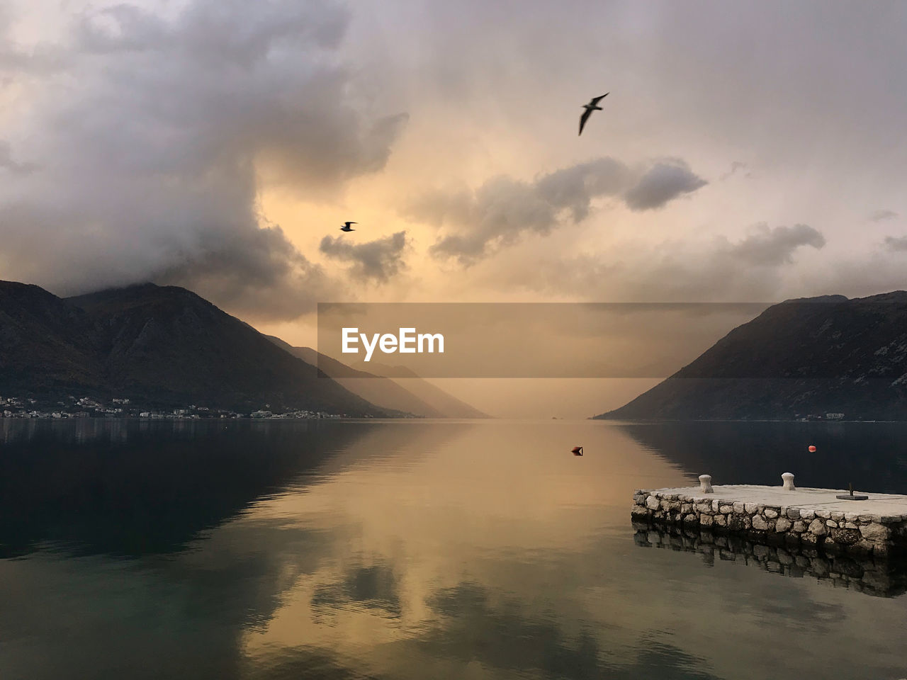 VIEW OF BIRDS FLYING OVER LAKE