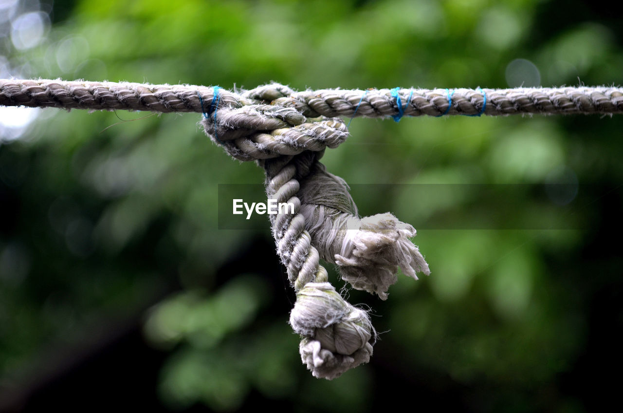 Close-up of rope tied up on air