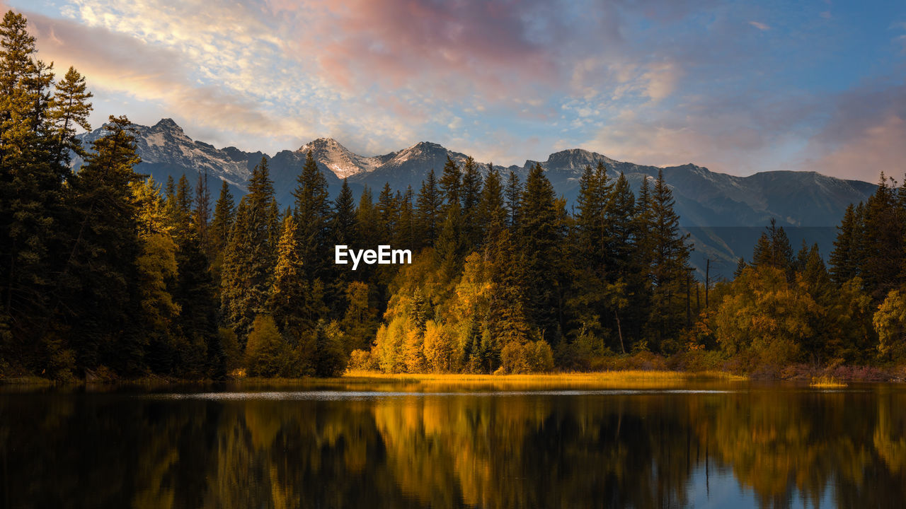 reflection, tree, scenics - nature, nature, mountain, water, beauty in nature, lake, sky, autumn, plant, forest, morning, wilderness, tranquility, landscape, mountain range, environment, tranquil scene, land, pine tree, coniferous tree, cloud, pine woodland, pinaceae, no people, idyllic, travel destinations, non-urban scene, woodland, dawn, outdoors, leaf, sunrise, travel, twilight, yellow, sun