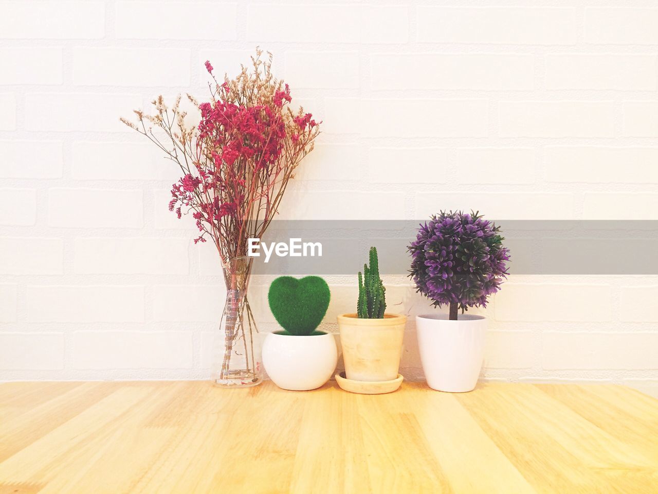 Potted plants on table against wall