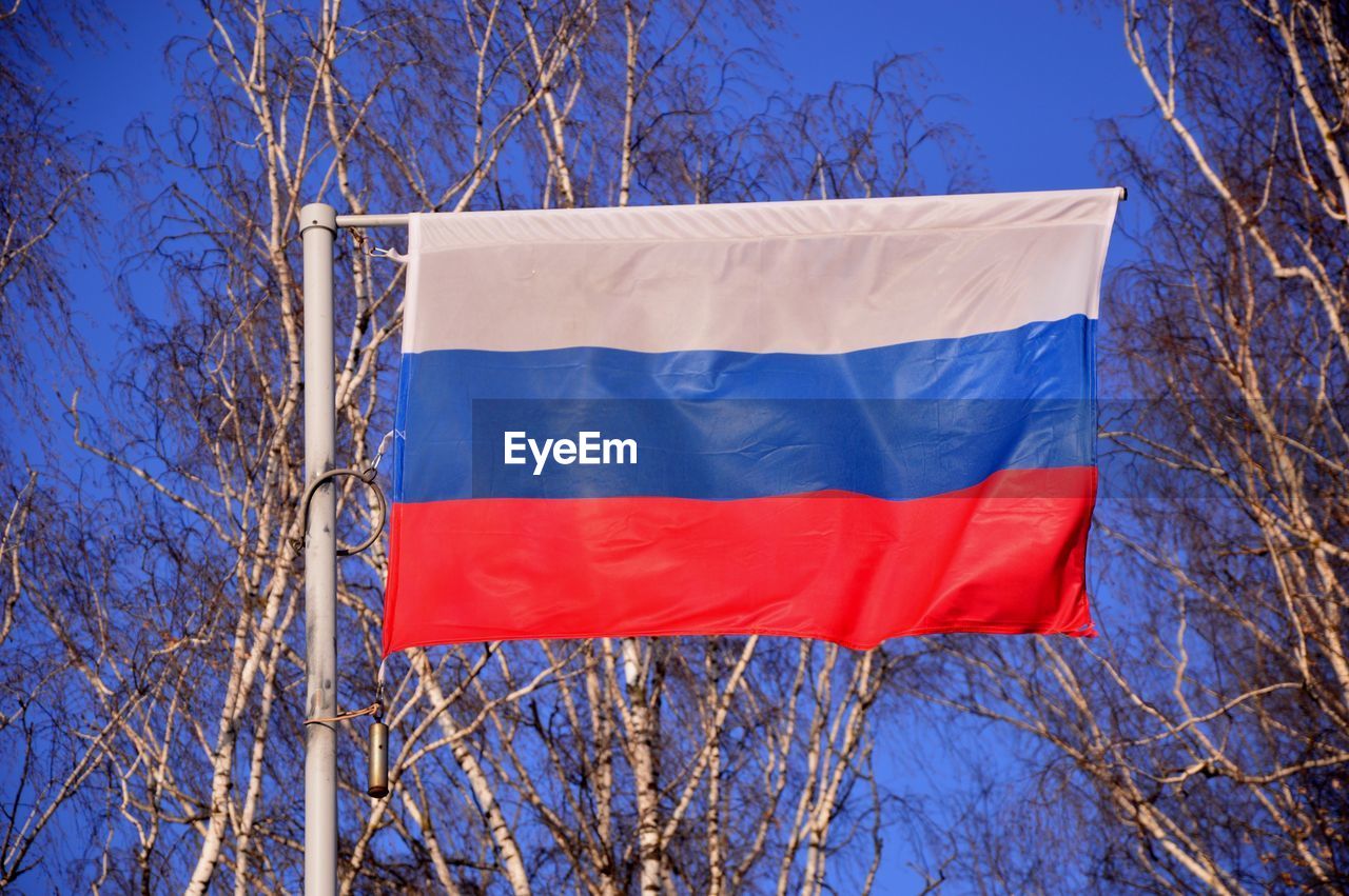 LOW ANGLE VIEW OF FLAG AGAINST BARE TREES