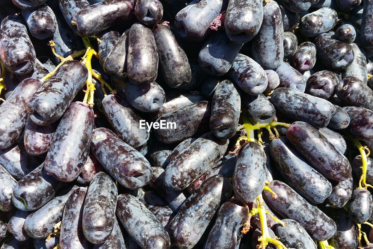 FULL FRAME SHOT OF BLUEBERRIES