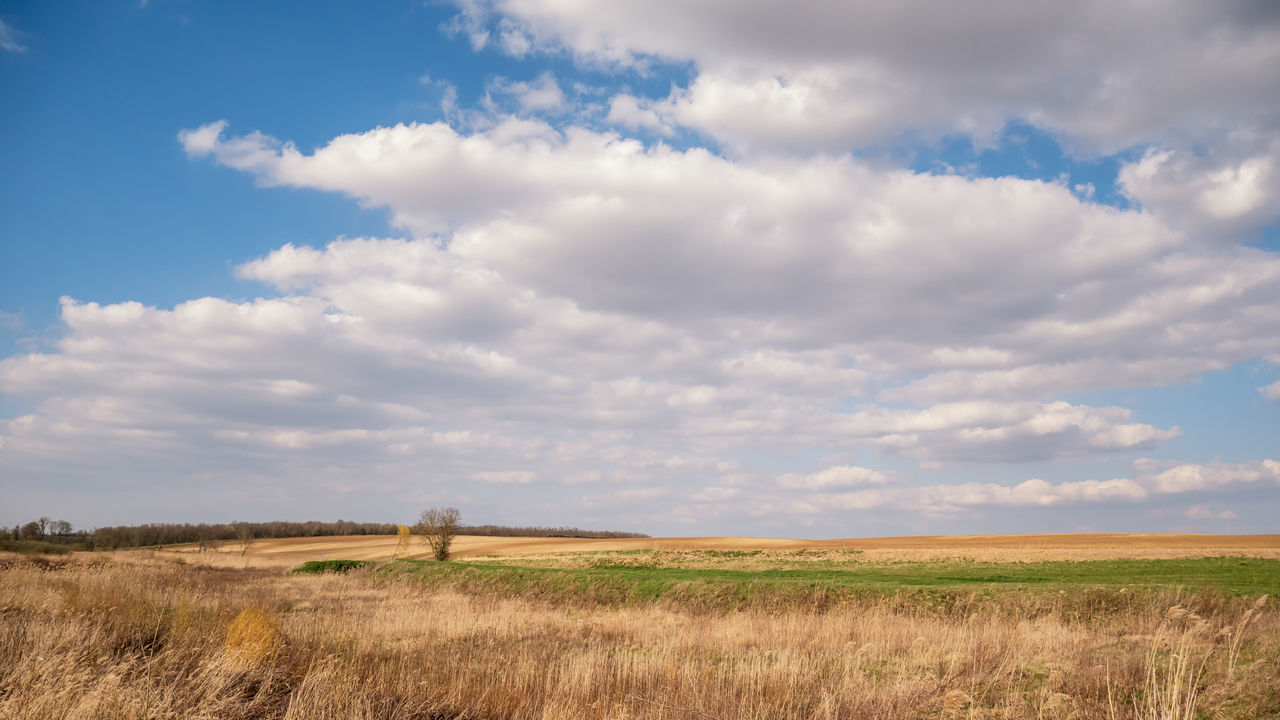 SCENIC VIEW OF LAND AGAINST SKY