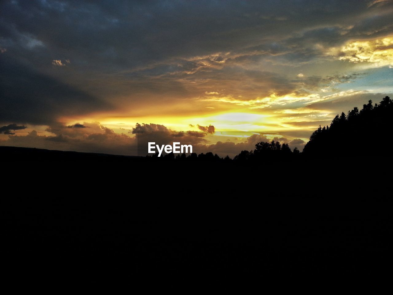 SILHOUETTE OF TREES AT SUNSET