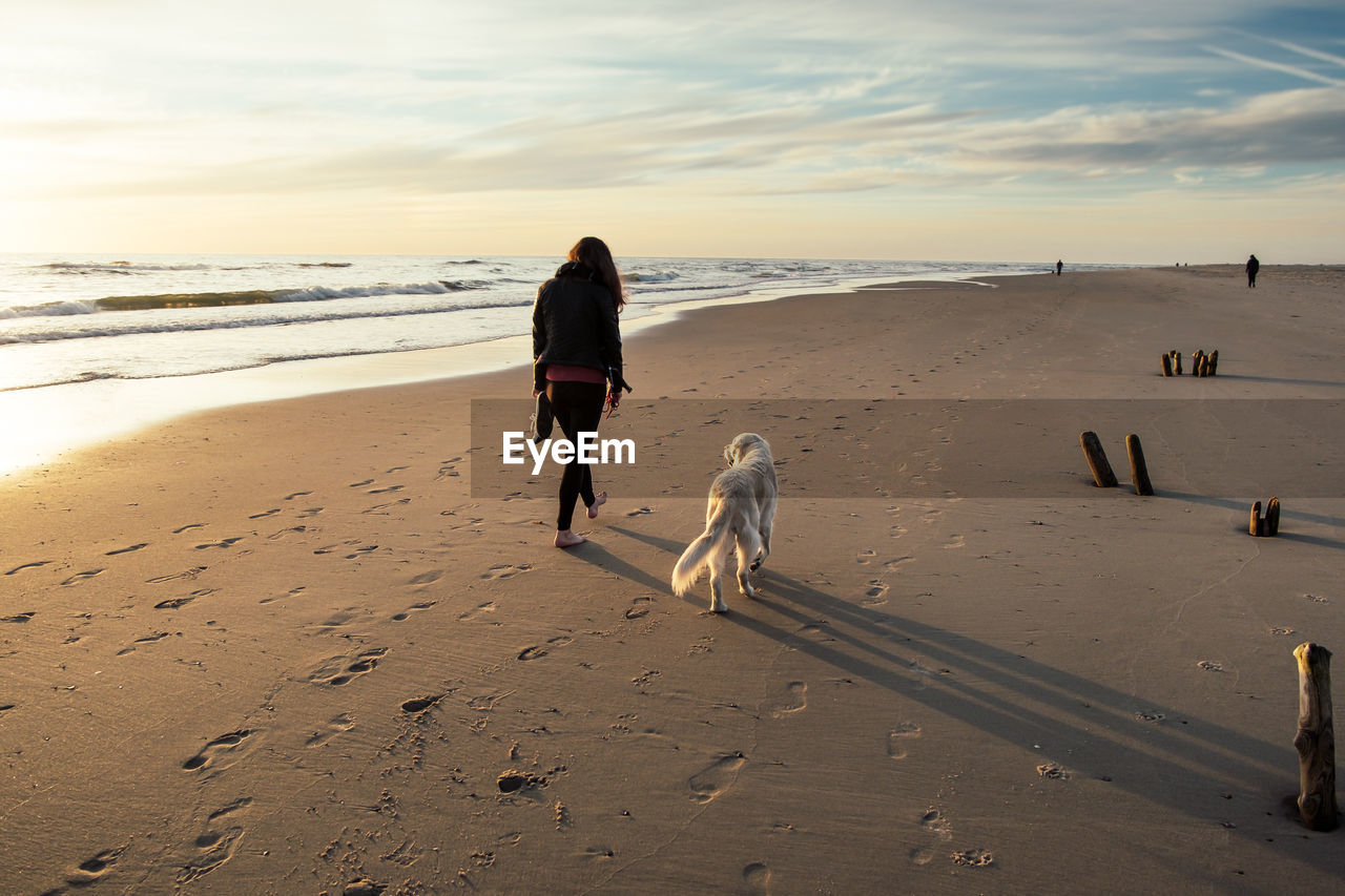 Rear view of woman with dog walking on sand at beach