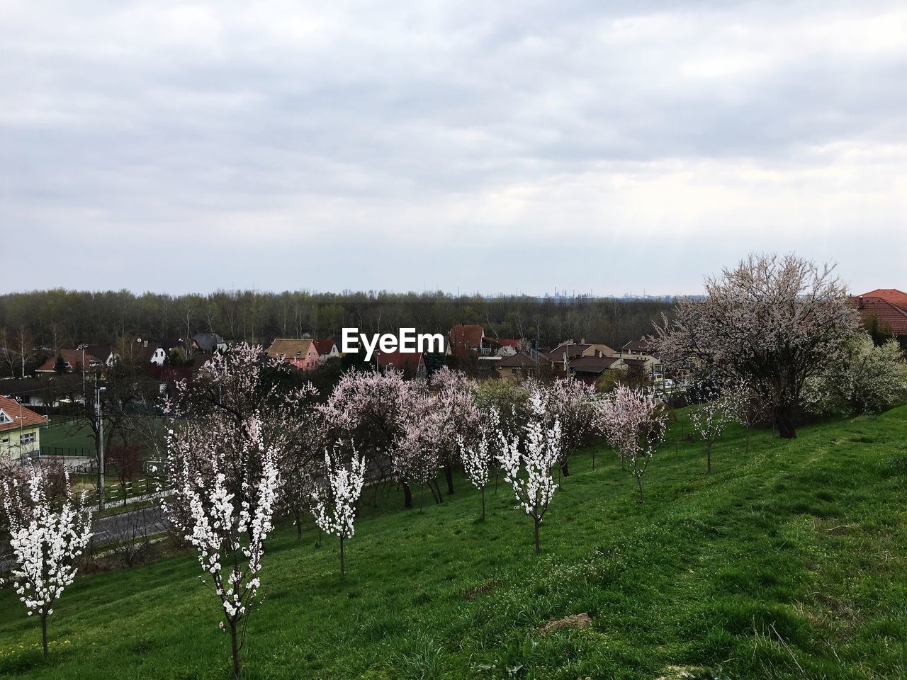 Scenic view of field against cloudy sky