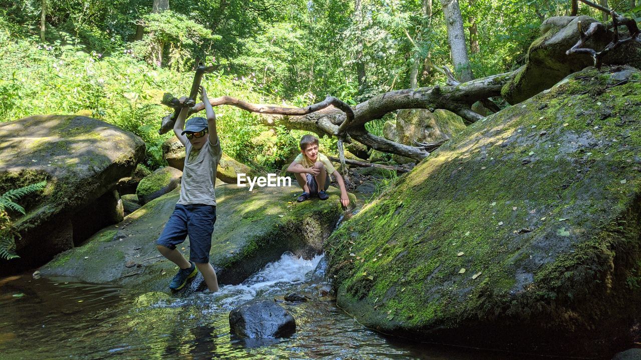 Stream amidst trees in forest kids playing