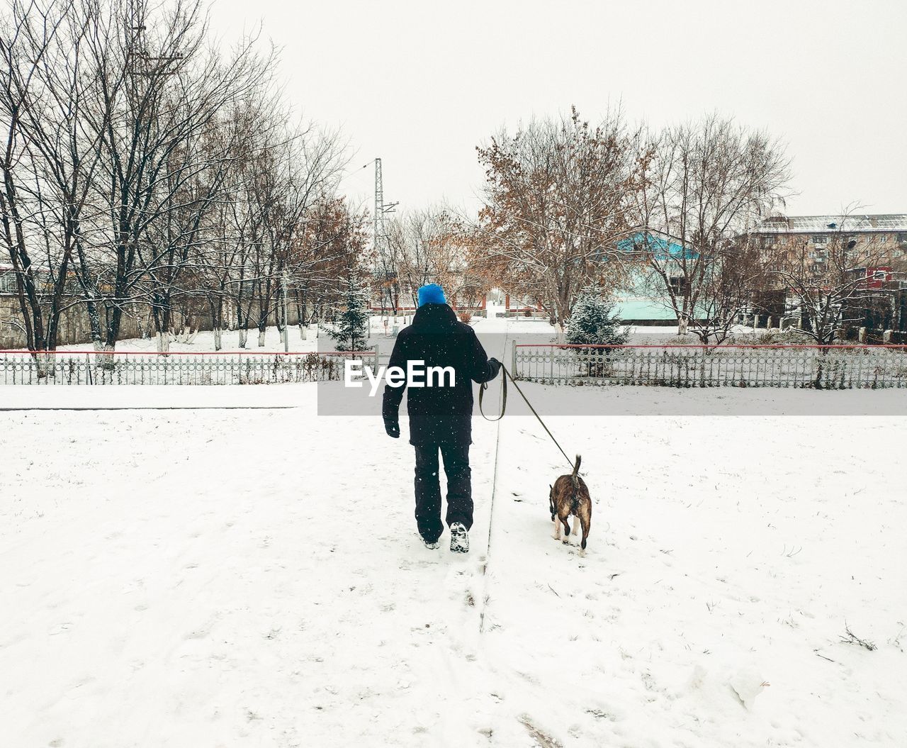 Rear view of woman with dog walking in snow