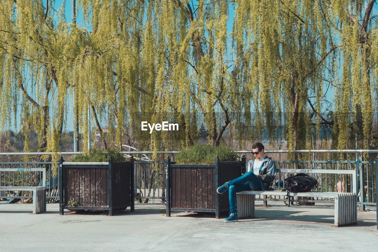 Man sitting on bench in park