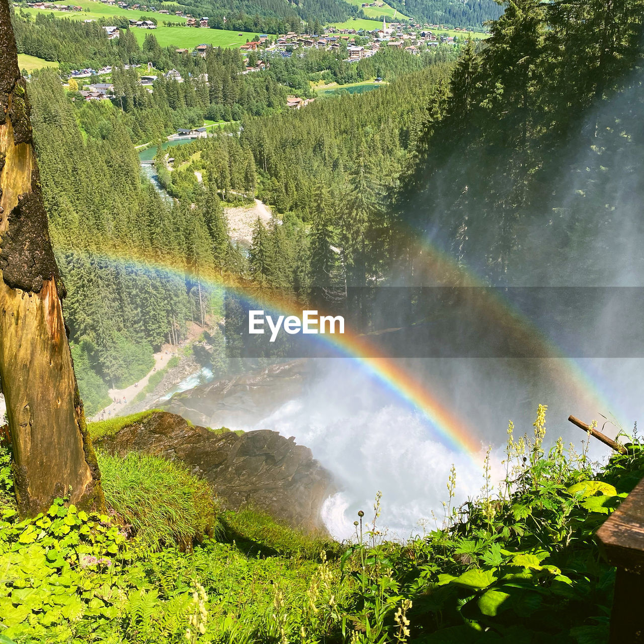 Scenic view of rainbow over trees