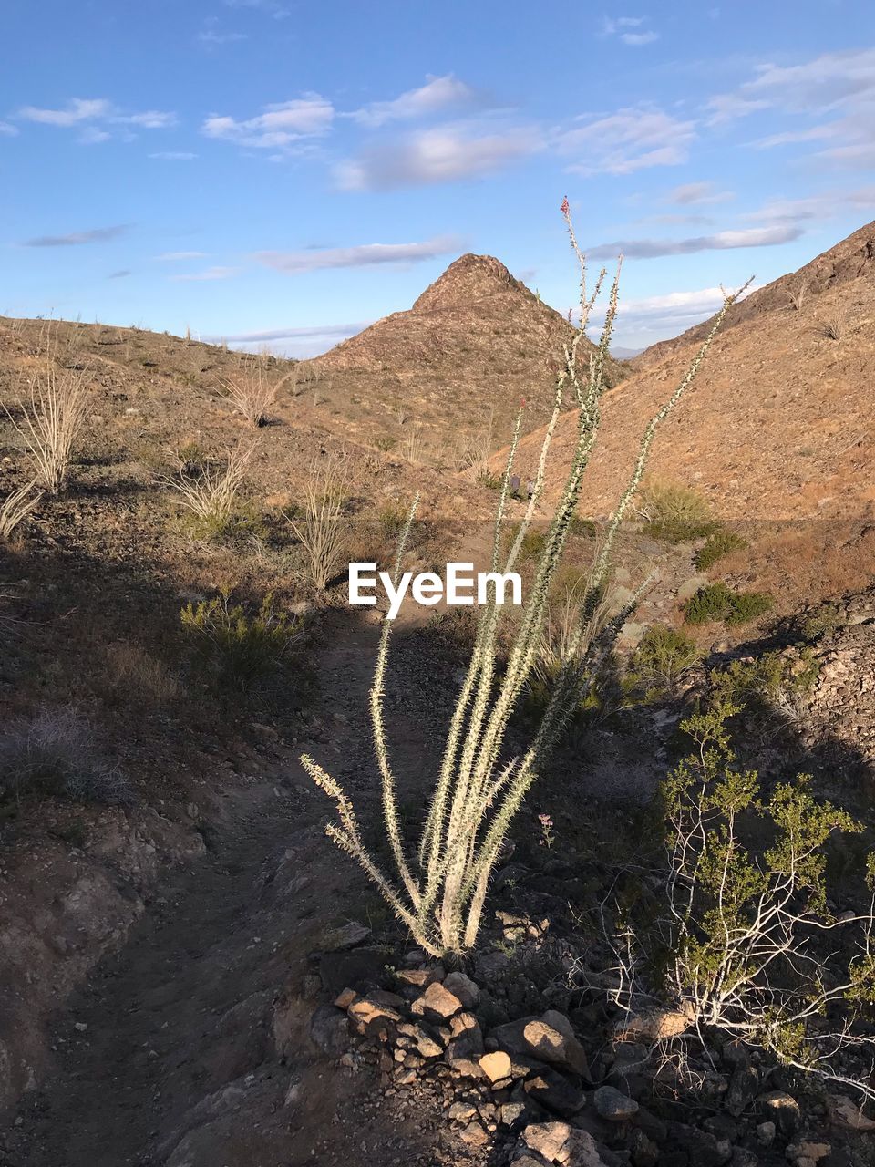 SCENIC VIEW OF ARID LANDSCAPE