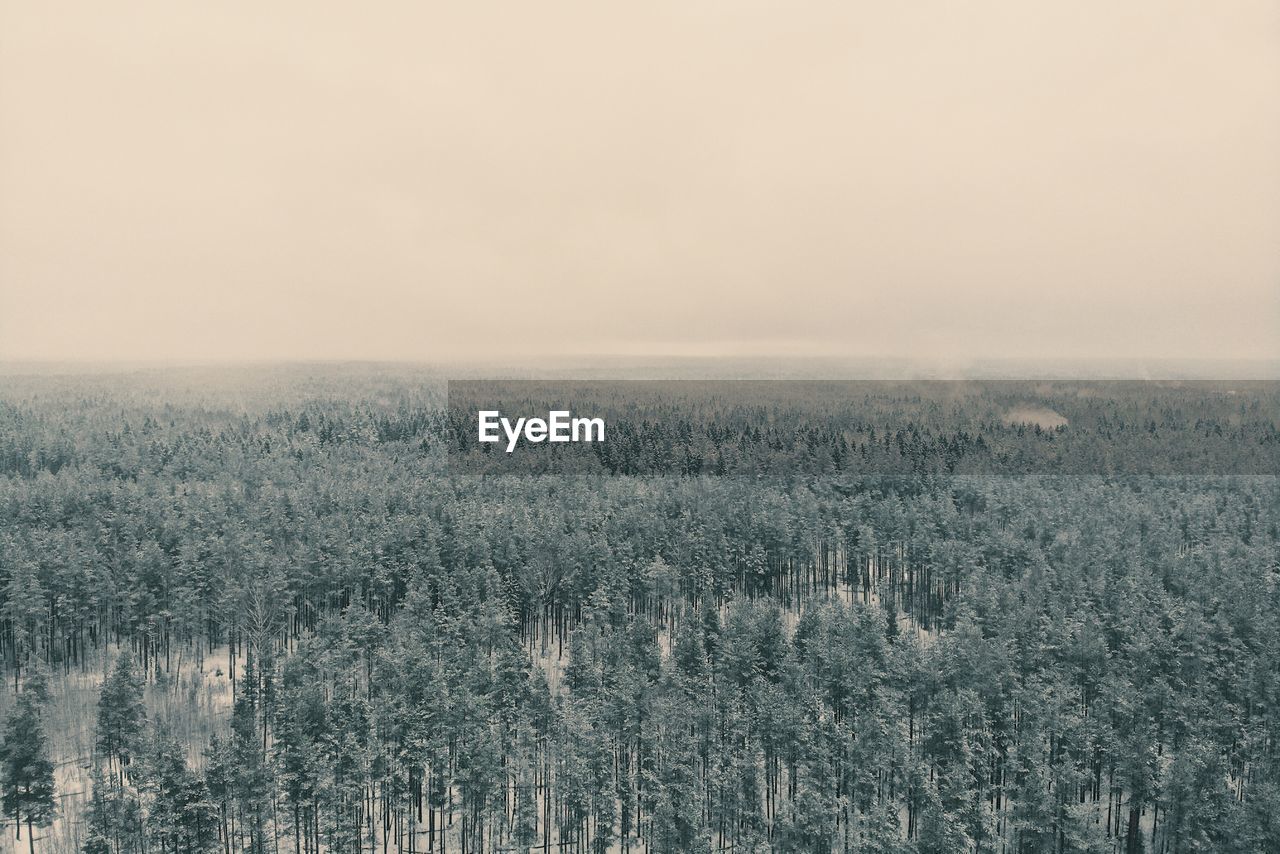 Scenic view of field against sky during winter