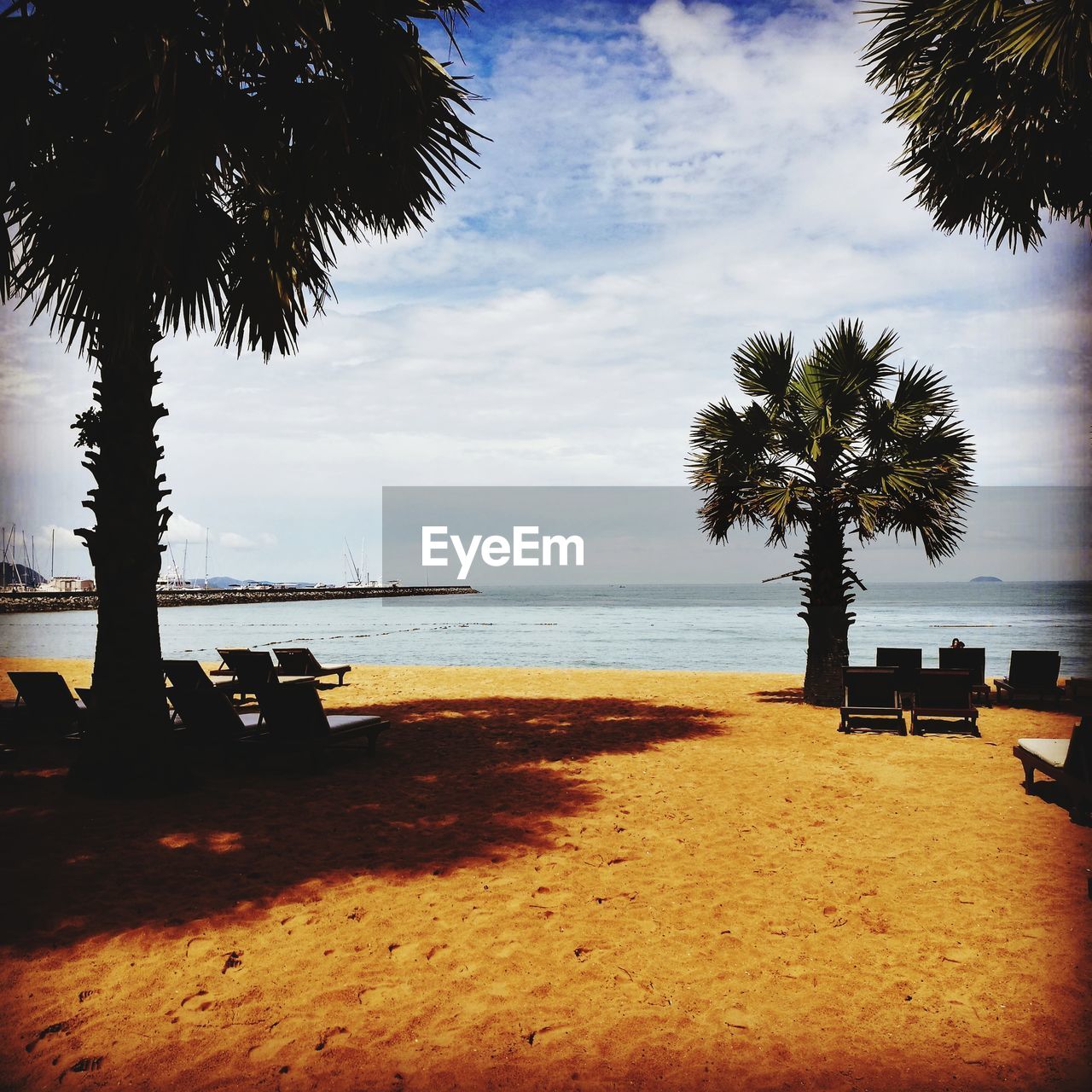 SCENIC VIEW OF PALM TREES ON BEACH AGAINST SKY