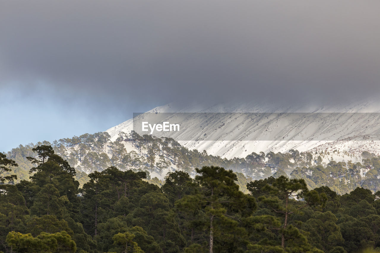 Scenic view of snowcapped mountains against sky, tenerife