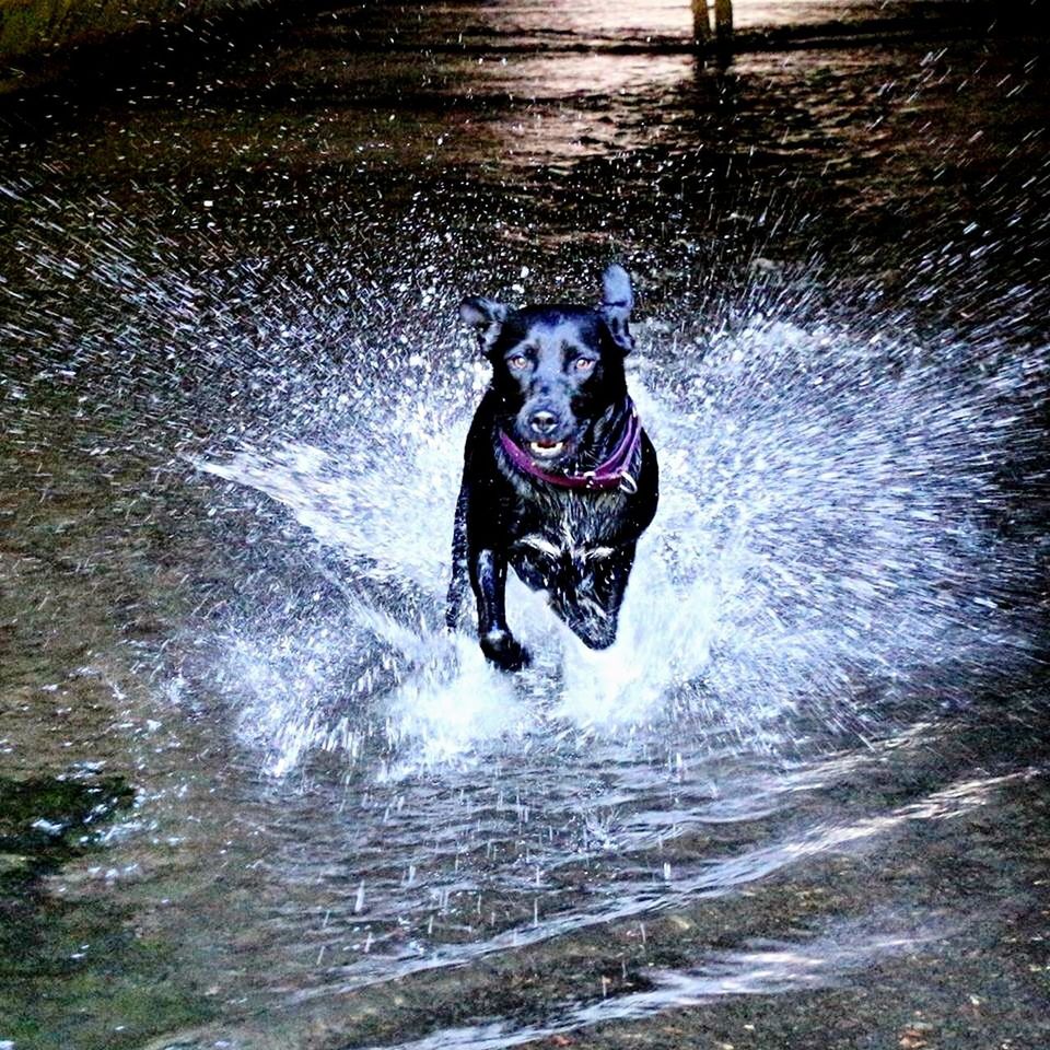 YOUNG WOMAN IN WATER