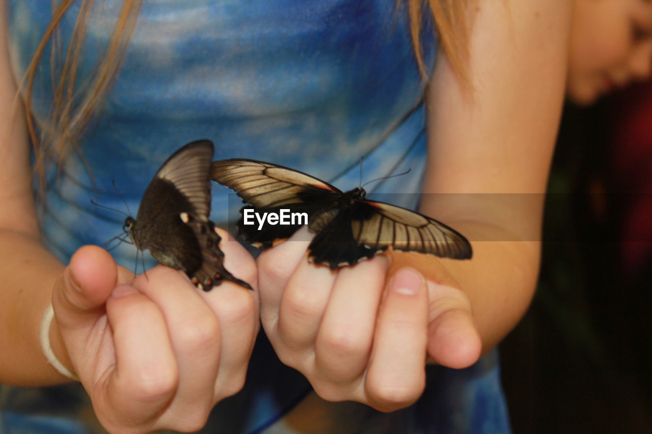 Close-up of butterfly perching on girl hand