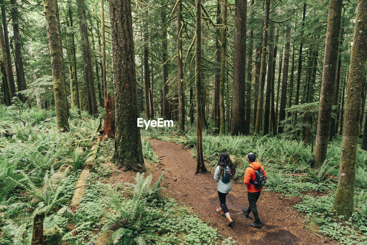 A young couple enjoys a hike in a forest in the pacific northwest.