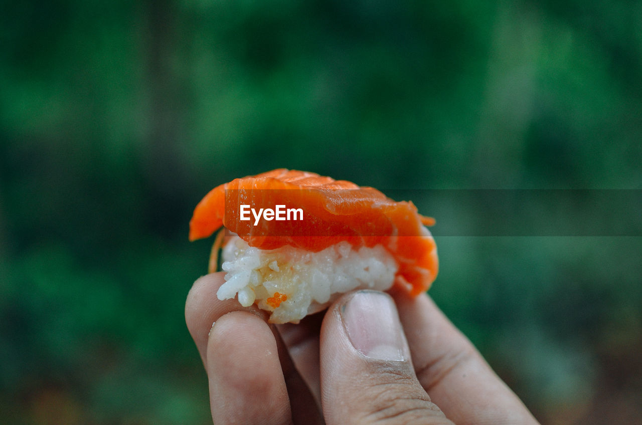 cropped hand of person holding fruit