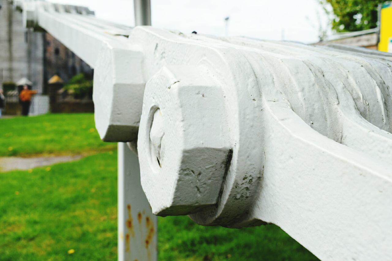 CLOSE UP OF WHITE HORSE