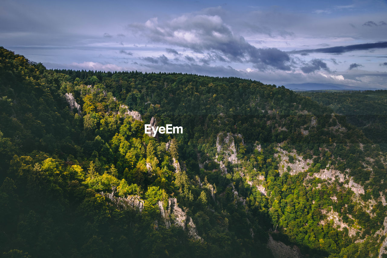 Scenic view of landscape by river against sky