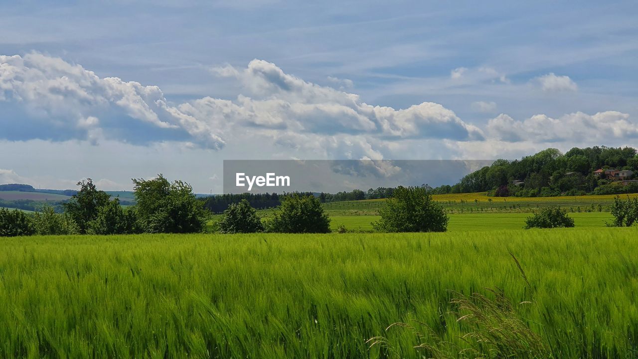 SCENIC VIEW OF FARMS AGAINST SKY